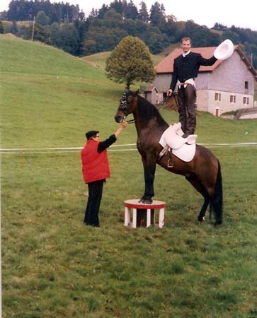 fete cheval PJ (1)