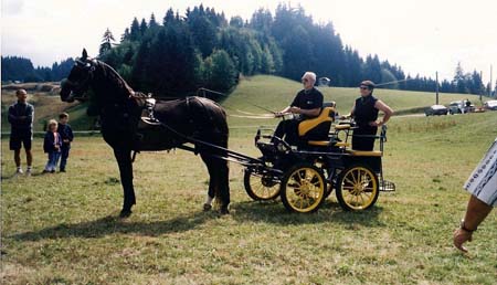 fete cheval PJ (10)