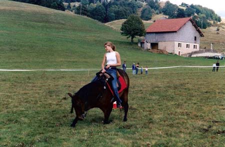fete cheval PJ (11)