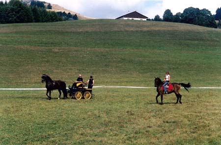 fete cheval PJ (17)