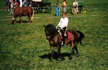 fete cheval PJ (18)