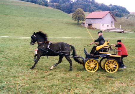 fete cheval PJ (5)