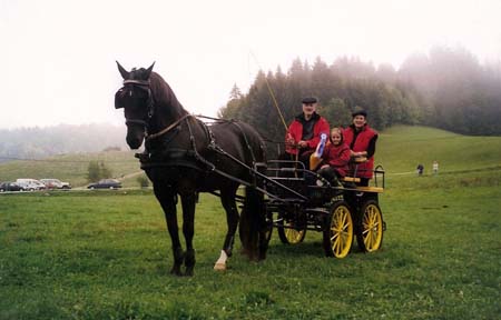 fete cheval PJ (6)