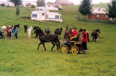 fete cheval PJ (7)