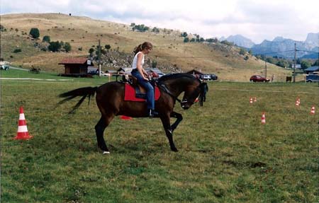 fete cheval PJ (9)
