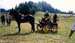 fete cheval PJ (10)