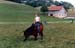 fete cheval PJ (11)
