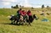 fete cheval PJ (12)