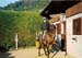 fete cheval PJ (2)