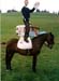 fete cheval PJ (3)