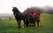 fete cheval PJ (6)