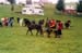 fete cheval PJ (7)